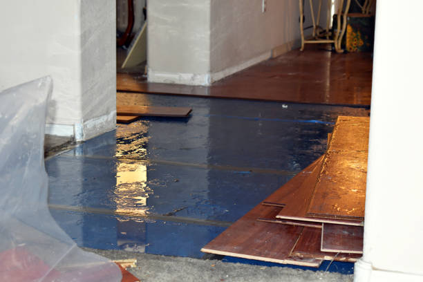 Professional Sewage Cleanup technician working in Oakhurst, TX